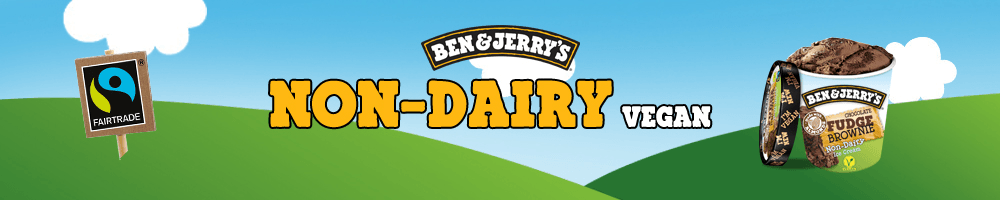 Ben & Jerry's Non-Dairy 500 ml