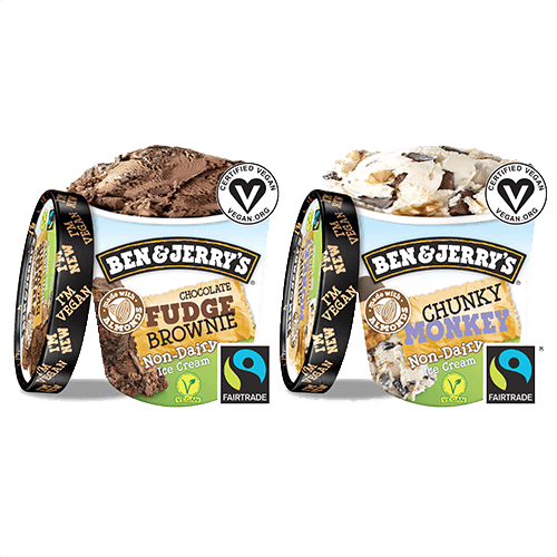 Ben & Jerry's Vegan Bundel (2 stuks)