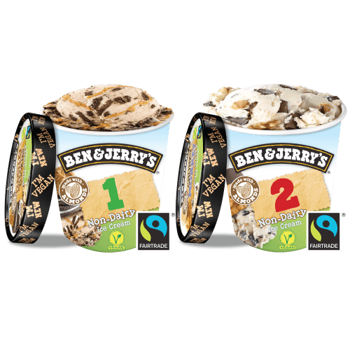 Ben & Jerry's vegan bundel 2 stuks