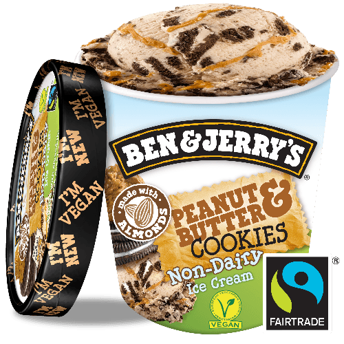 Ben & Jerry's Non-Dairy Peanut Butter & Cookies (500ml)
