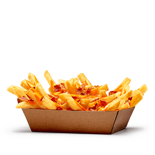 Cheesy Bacon Fries