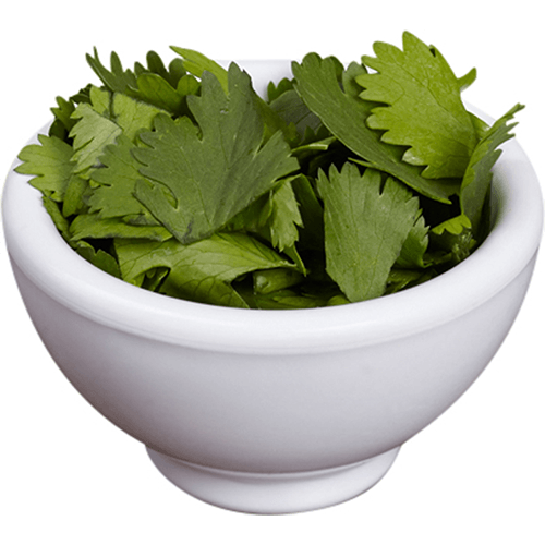 Coriander