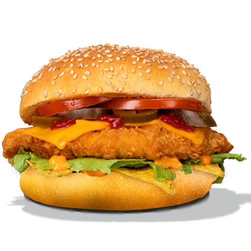 Salsa Chicken Burger