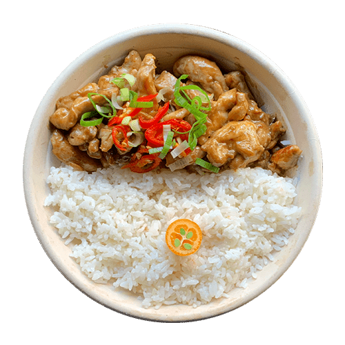 Chicken curry
