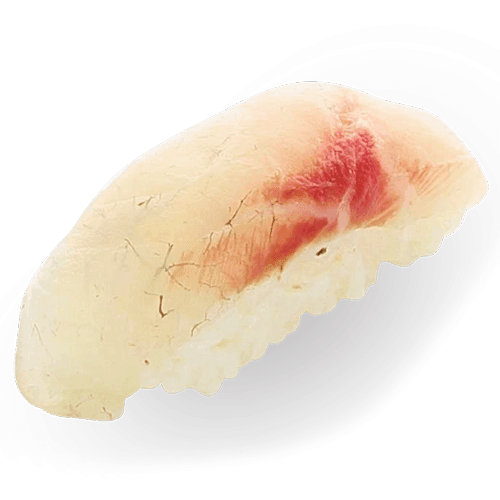 Sea bass nigiri