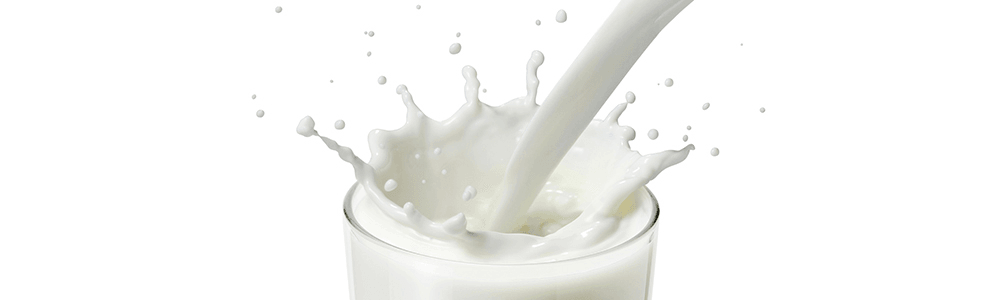 Melk