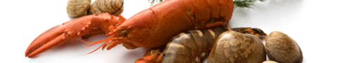 Wokki Seafood