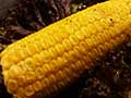 Sweet corn