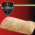Ancora