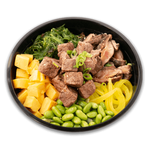 Tokyo tepan beef bowl