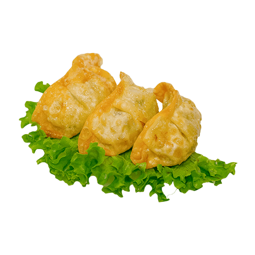 Gyoza