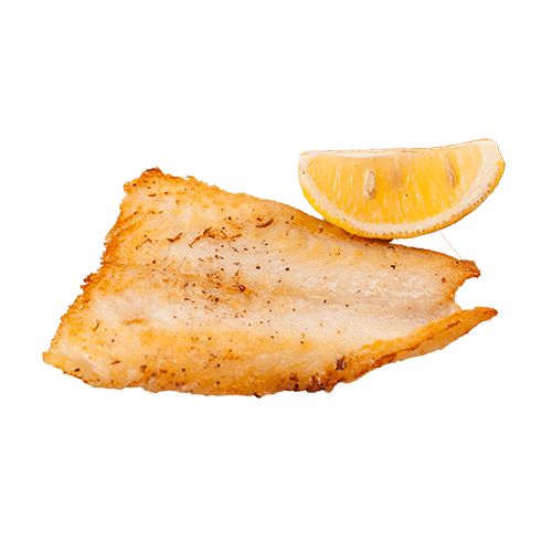 Witvis met vissaus