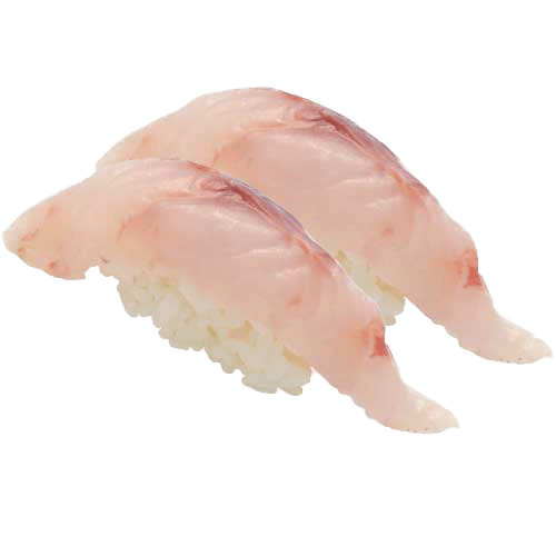 Sea bass nigiri