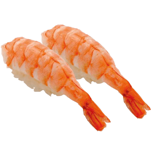 Sea prawn nigiri