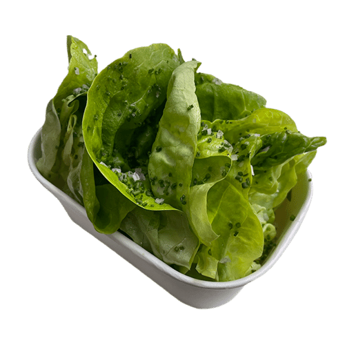 Kropsla