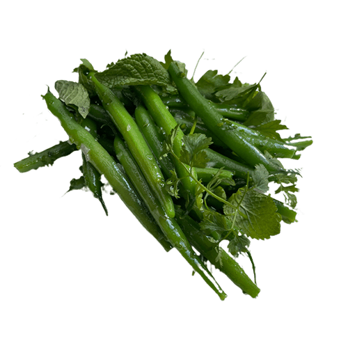 Salade van sperziebonen
