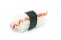 Tako nigiri