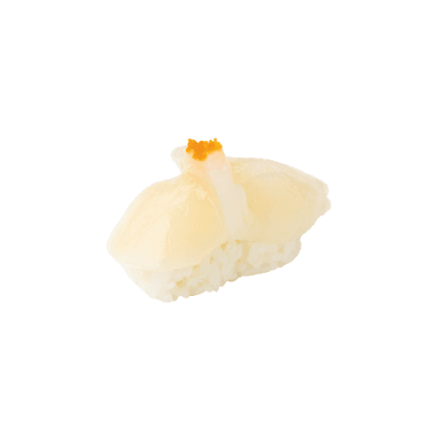 Nigiri coquilles