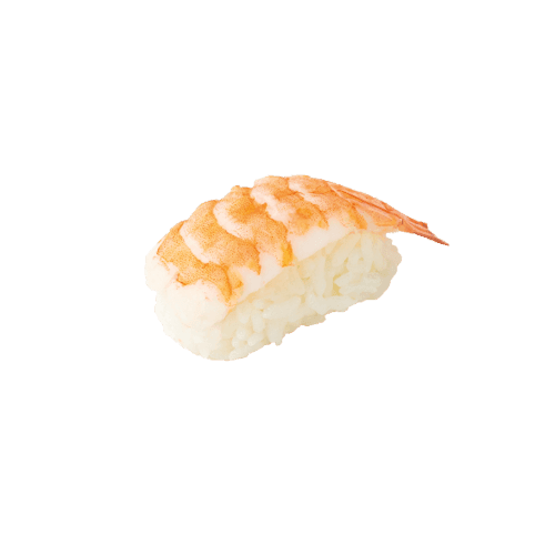 Nigiri ebi