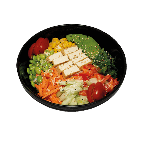 Pokébowl vega