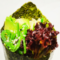 Yasai temaki