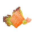 Sake sashimi