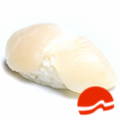 Nigiri Hotategai