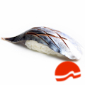 Nigiri Saba