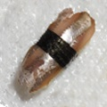 Nigiri saba