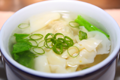 Wan tan soup