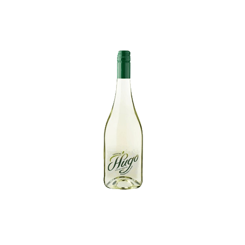 Hugo Wit