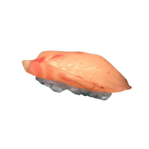 Suzuki nigiri