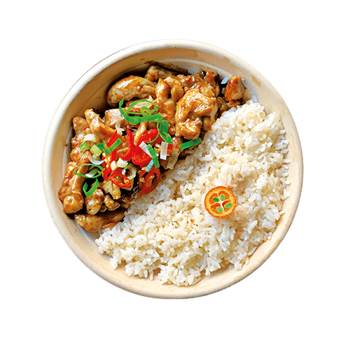 Kip ketjap bowl