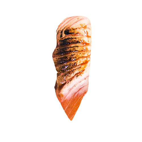 Smoked sake nigiri