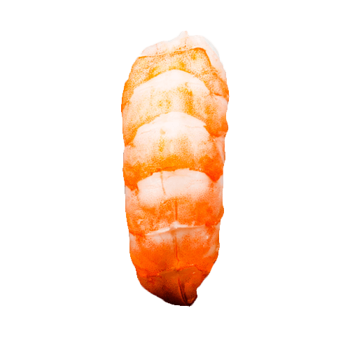 Ebi nigiri