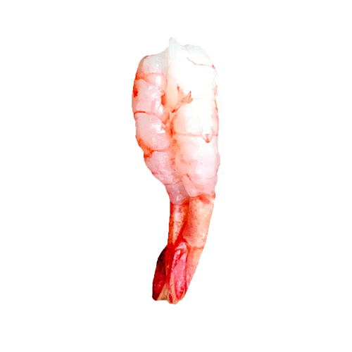 Ama ebi nigiri