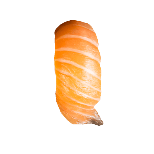 Sake nigiri