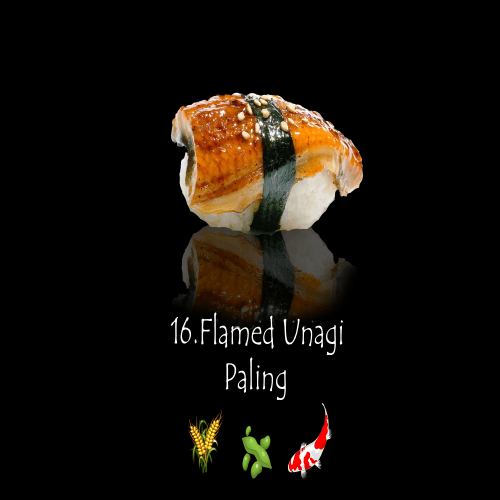 Flamed unagi