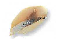 Nigiri saba