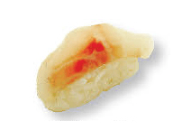 Nigiri suzuki