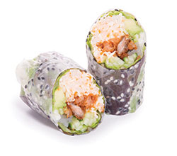 Sushi spring roll unagi