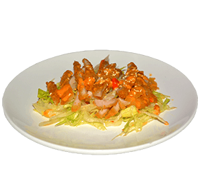 Krokante kip salade