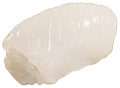 Ika