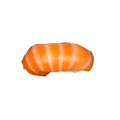 Sake nigiri