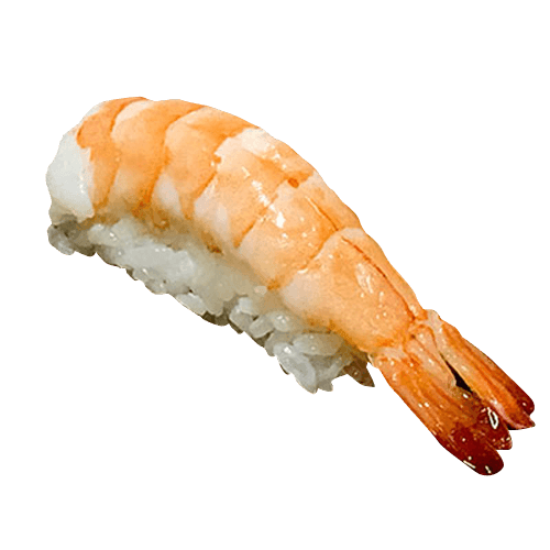 Nigiri ebi