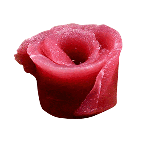 Sashimi maguro