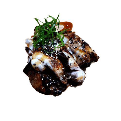 Kip teryaki
