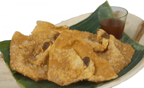 Chicken wontons