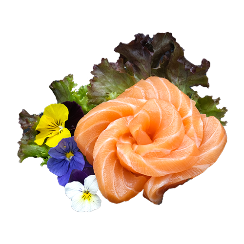 Salmon sashimi