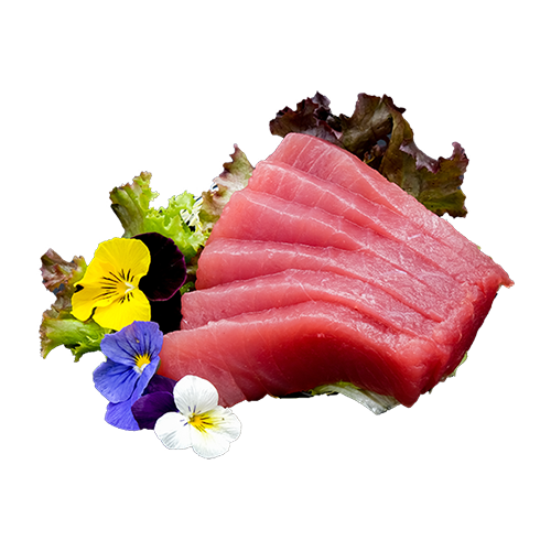 Tuna sashimi